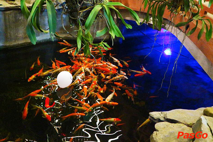 Hương Việt - Đỗ Đức Dục-5