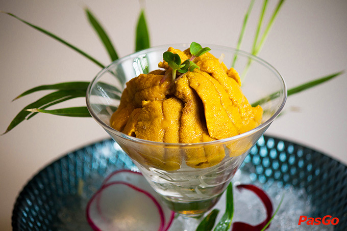 Kiến Đỏ Akaari - Trần Thái Tông-8