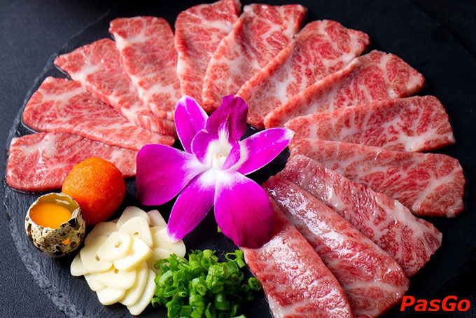 Kokugyu - Trần Quang Khải-4