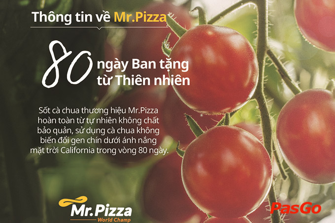 Nhà hàng MrPizza Thái Phiên10