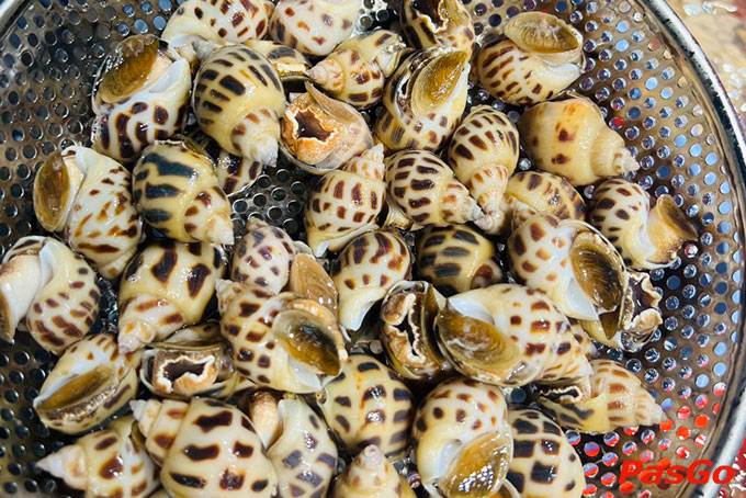 Ốc Phủi Sài Gòn - Bát Đàn-1