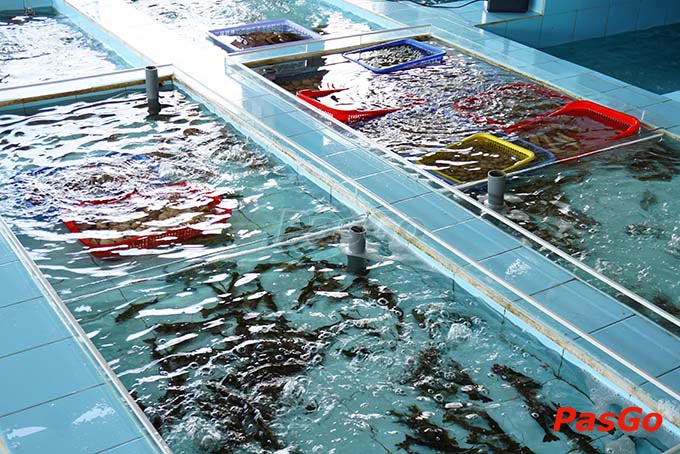 nhà hàng phương tre việt hoàng sa 5