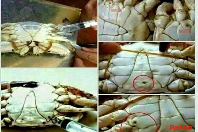 Review Thế Giới Hải Sản 3