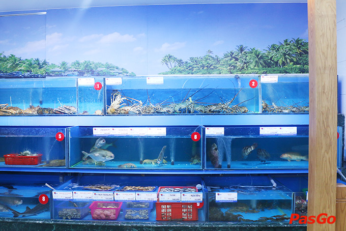 Review Thế Giới Hải Sản 4