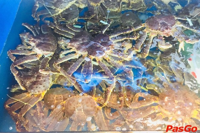 Review Thế Giới Hải Sản 6