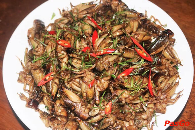 Lan Rừng – Đường Nam Trân  -9