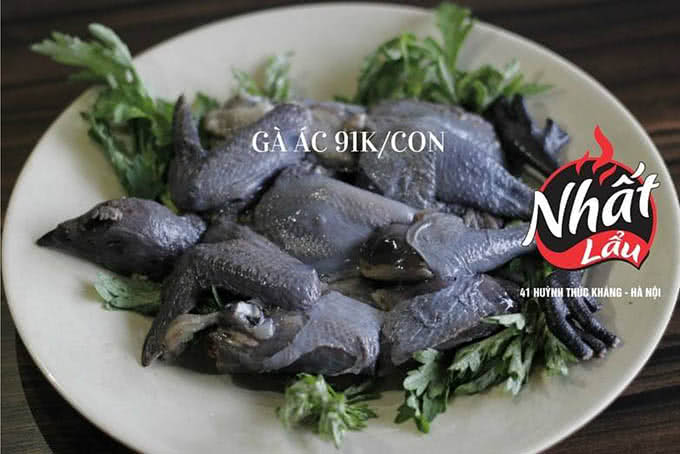 nhà hàng nhất lẩu 41 huỳnh thúc kháng 12