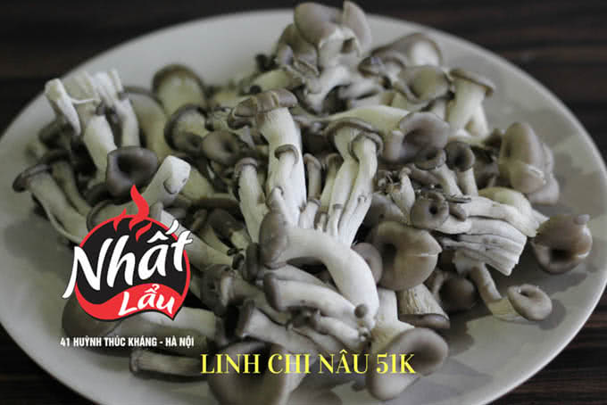 nhà hàng nhất lẩu 41 huỳnh thúc kháng 13