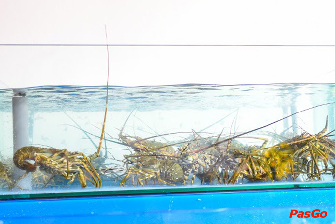 Gỏi Cá Bé Vân - Nguyễn Tri Phương-11