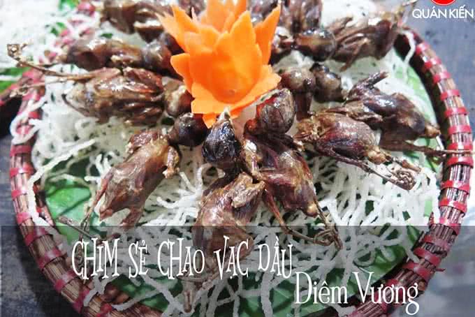 quán kiến 143 nghi tàm 13