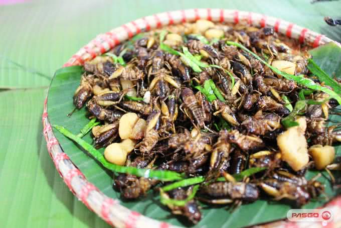 quán kiến 143 nghi tàm 15