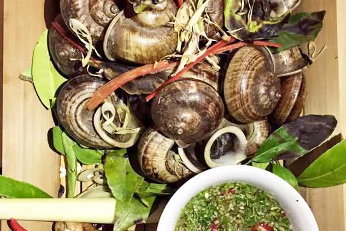 quán kiến 143 nghi tàm 20