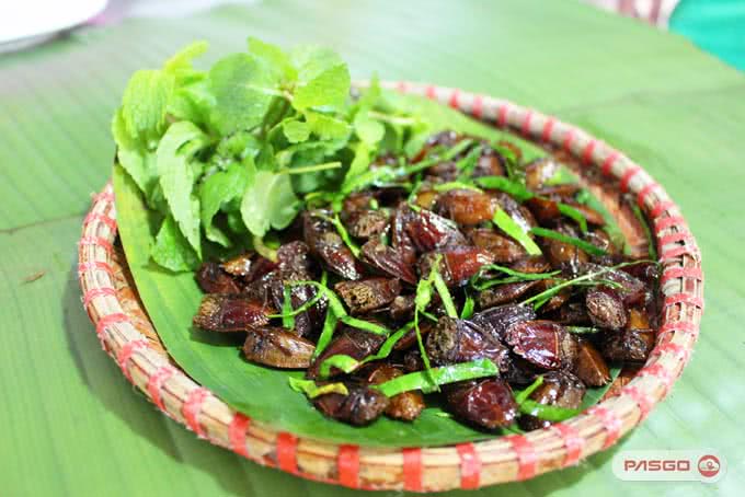 quán kiến 143 nghi tàm 8