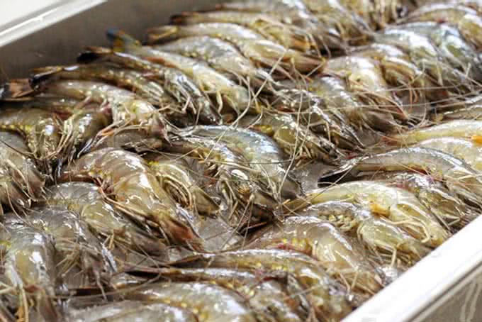 Nhà hàng Tân Hoa Cau quận 7 ảnh 5