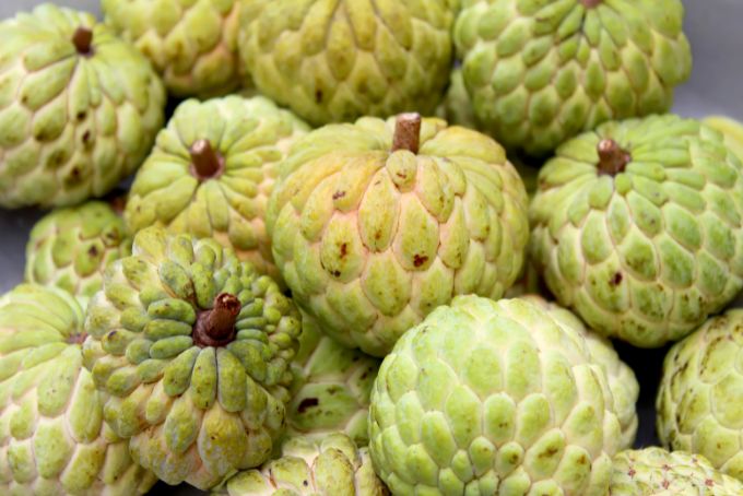 Bà bầu ăn nha được không 2