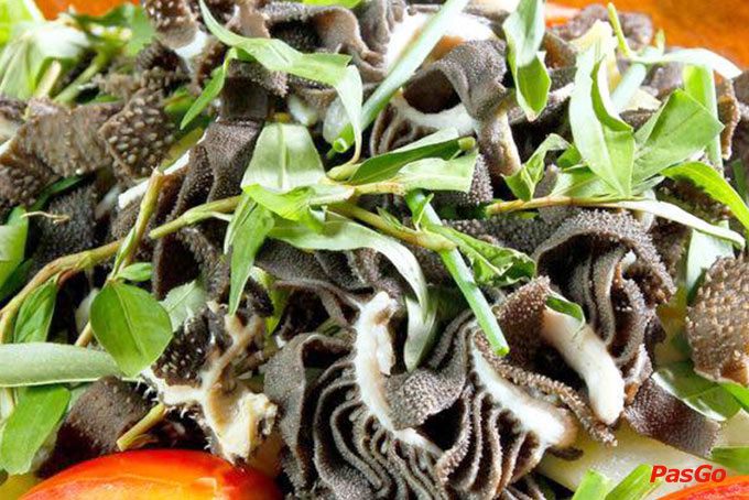 Bò Tơ Tây Ninh Năm Sánh - Phạm Hùng-6