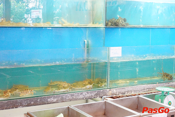 Hải Sản Biển Đông - Nguyễn Tất Thành-17