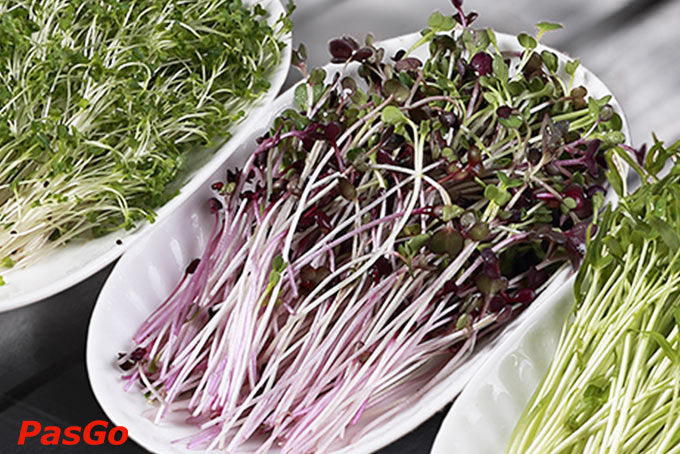 Lẩu Nấm Ashima - Nguyễn Đình Chiểu-5