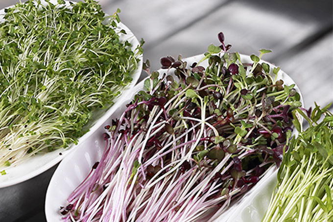 Lẩu Nấm Ashima - Xuân Thủy-5