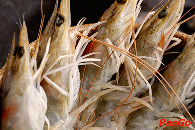 Sumo Yakiniku - SC Vivo City-9