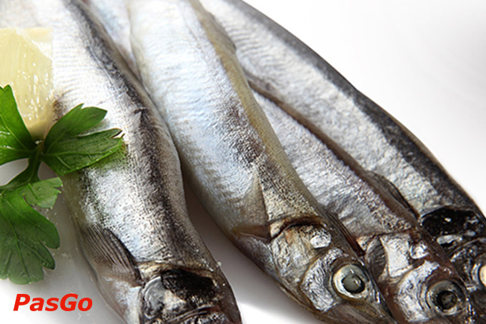 Sumo Yakiniku - SC Vivo City-10