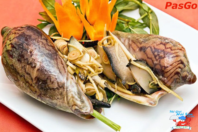 Thác Bạc – Thế Giới Hải Sản và Cá Tố Hữu 7