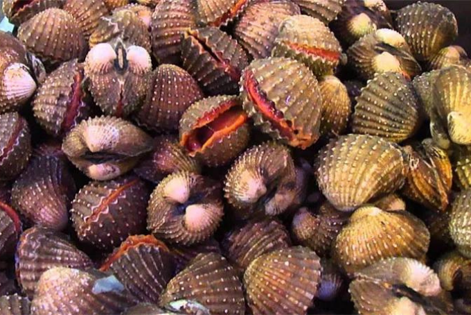 Những lưu ý khi ăn sò