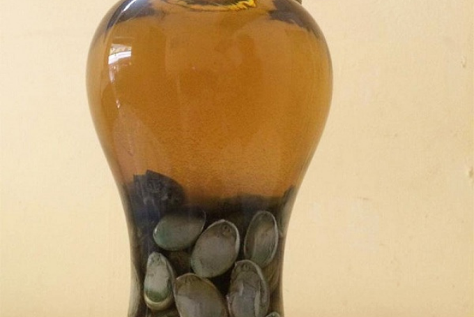 thành phẩm bào ngư ngâm rượu