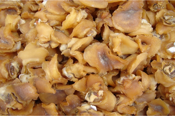 phơi khô bào ngư