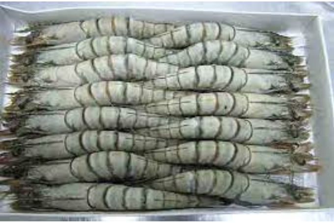 bảo quản tôm nguyên con