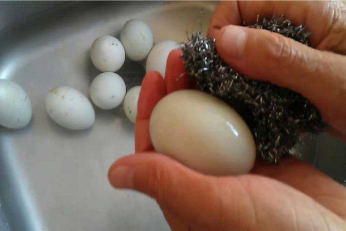 sơ chế nguyên vật liệu thực hiện trứng muối hạt khô