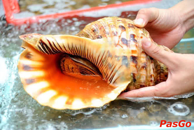 Chuỗi Thế Giới Hải Sản