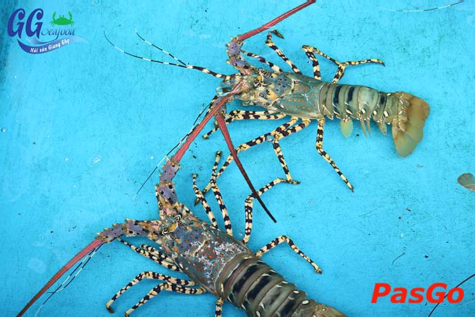 nhà hàng hải sản giang ghẹ Trường Chinh 4