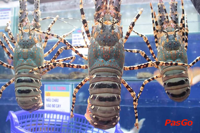 Nhà hàng Hải sản 123 – KuKuvn Nguyễn Thị Minh Khai 2