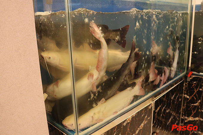 Nhà hàng Chả cá Ngư Ông Phạm Văn Đồng 20