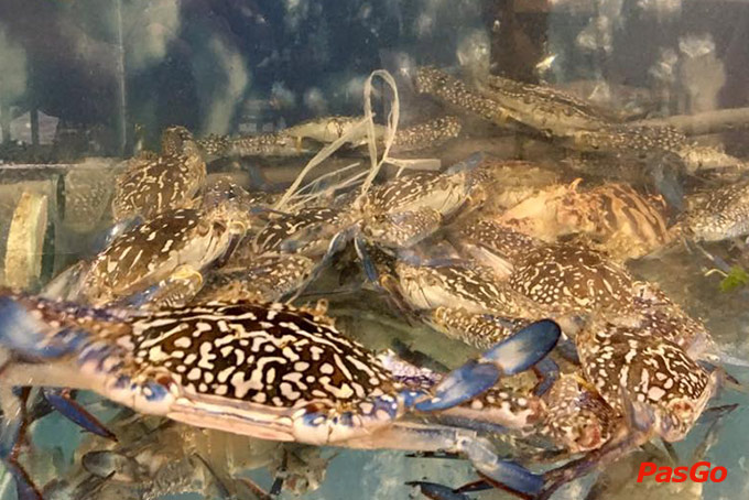 Nhà hàng Làng Chài Seafood Trần Văn Thành 15