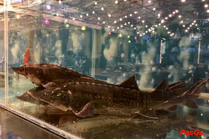 Nhà hàng Làng Chài Seafood Trần Văn Thành 16