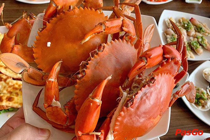 Dragon Sea Buffet - MAC Plaza-1