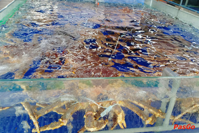 Hương Việt - Đỗ Đức Dục-12