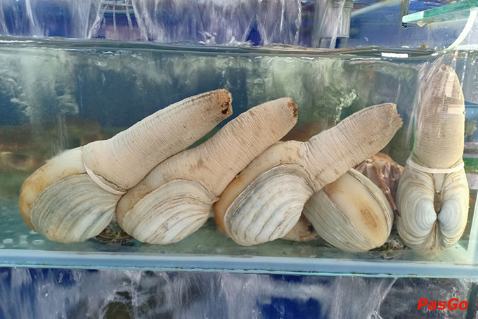 Hương Việt - Đỗ Đức Dục-13