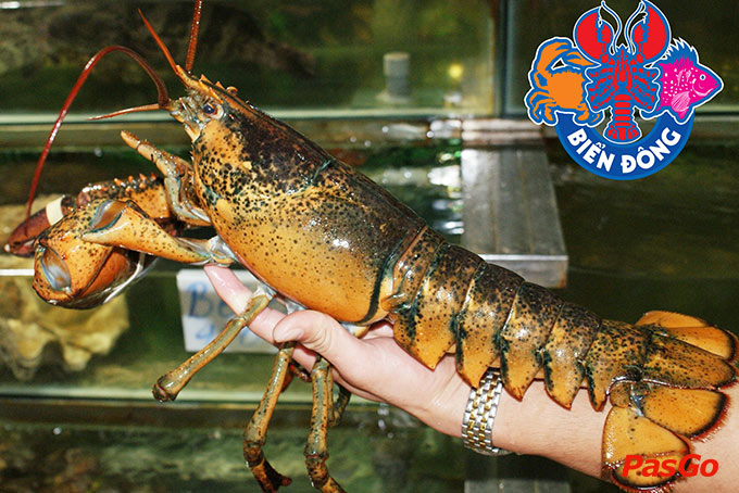 30 nhà hàng tổ chức TIỆC CÔNG TY tốt nhất 2022 ở Hà Nội 17