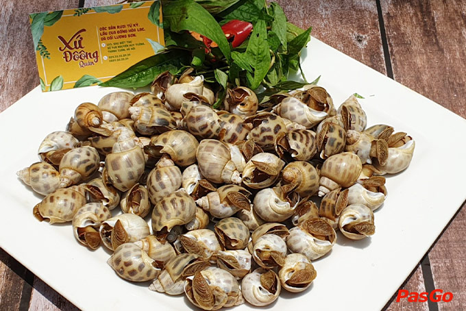 Xứ Đôông - Nguyễn Huy Tưởng-5